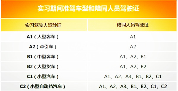 新手司機-4.jpg